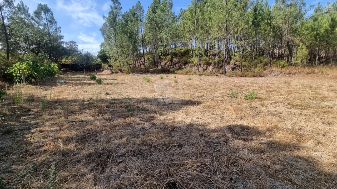 Terreno Agricola ou Rústico para Venda em Santo Andre das Tojeiras Foto 12
