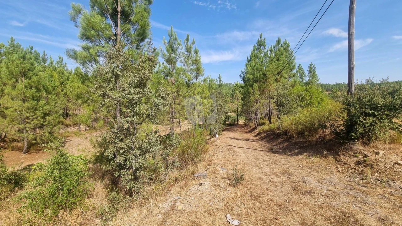 Terreno Agricola ou Rústico para Venda em Santo Andre das Tojeiras Foto 19