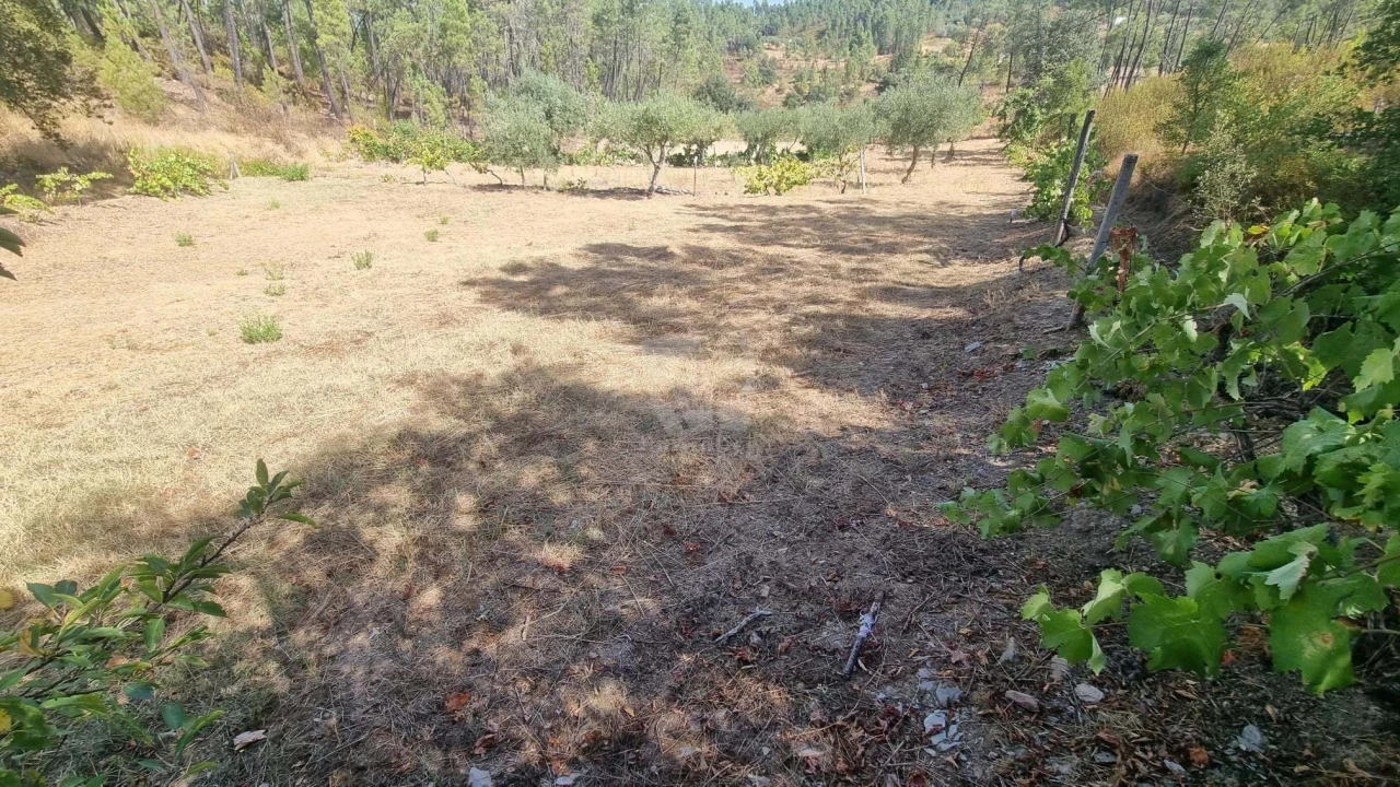 Terreno Agricola ou Rústico para Venda em Santo Andre das Tojeiras Foto 5