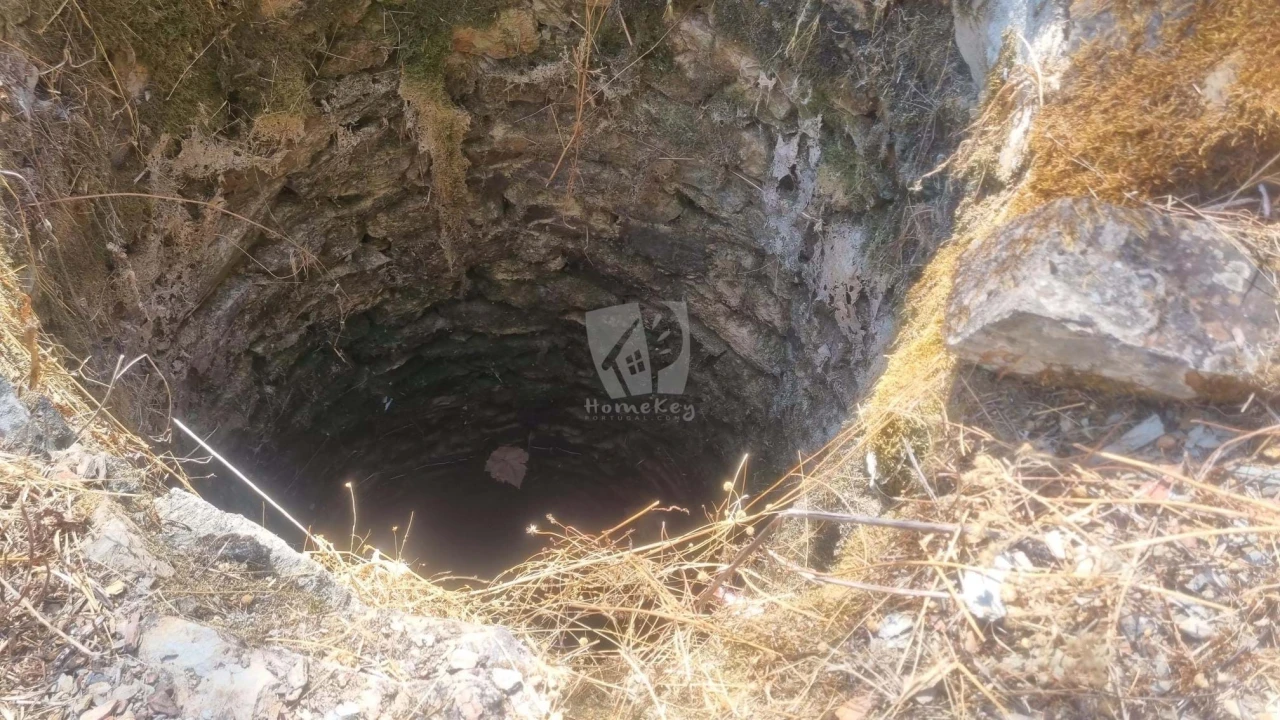 Terreno Agricola ou Rústico para Venda em Santo Andre das Tojeiras Foto 6