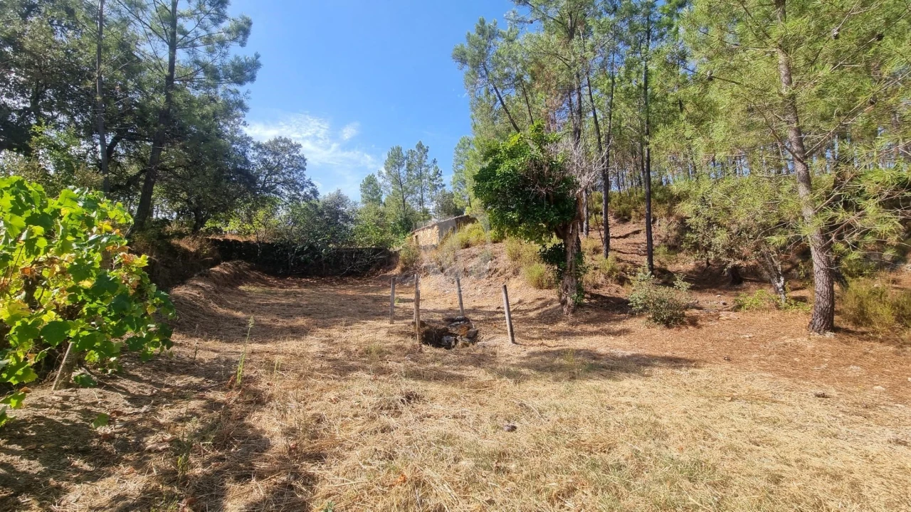 Terreno Agricola ou Rústico para Venda em Santo Andre das Tojeiras Foto 10