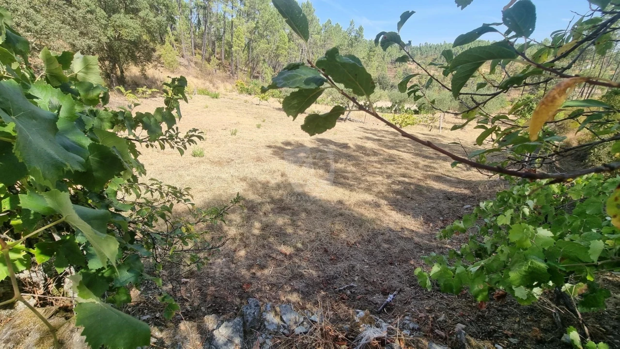Terreno Agricola ou Rústico para Venda em Santo Andre das Tojeiras Foto 4