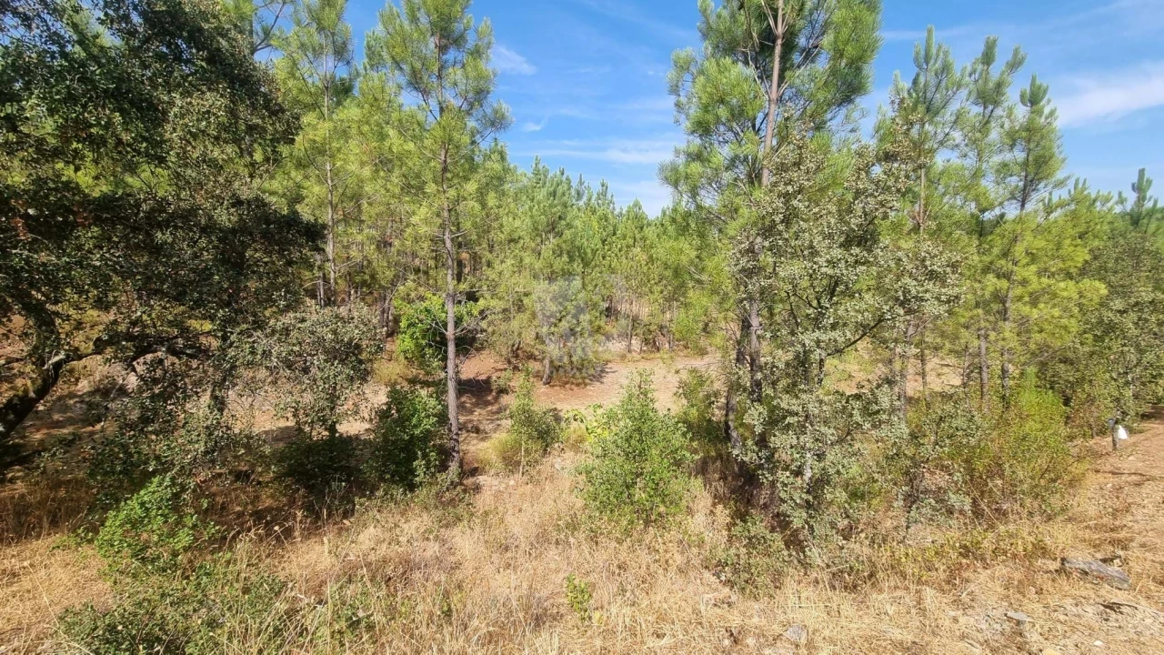 Terreno Agricola ou Rústico para Venda em Santo Andre das Tojeiras Foto 18