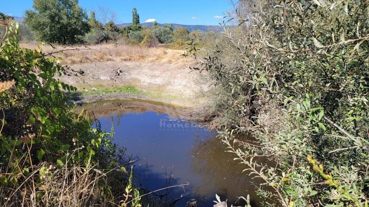 Quinta T3 para Venda em Póvoa de Atalaia e Atalaia do Campo Foto 44