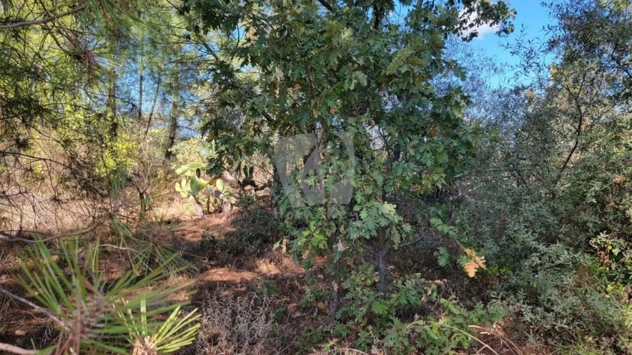 Quinta T3 para Venda em Póvoa de Atalaia e Atalaia do Campo Foto 42