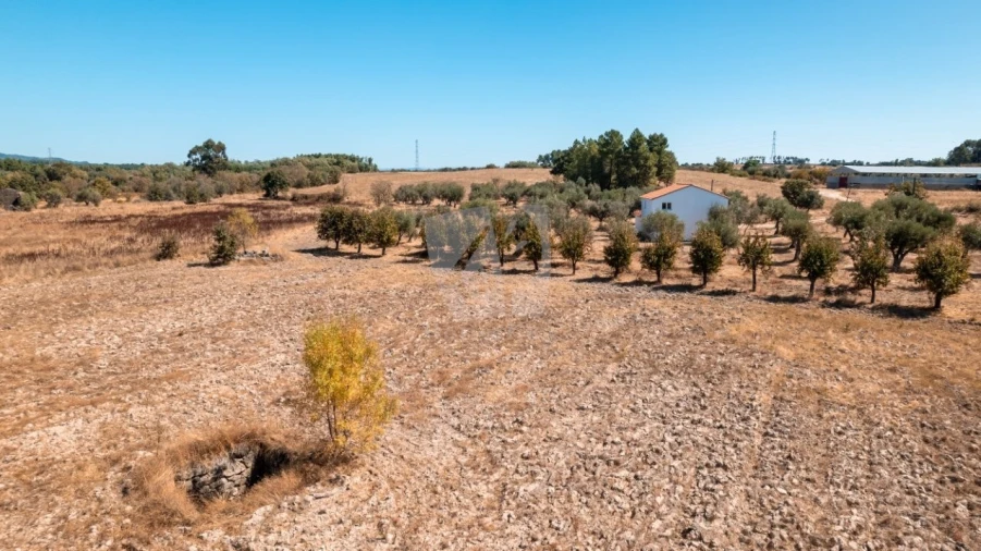 Quinta T3 para Venda em Póvoa de Atalaia e Atalaia do Campo Foto 37