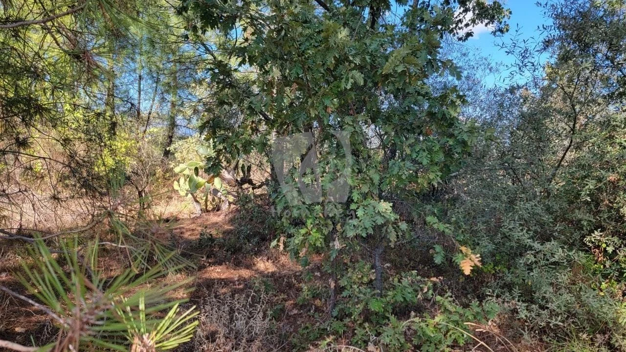 Quinta T3 para Venda em Póvoa de Atalaia e Atalaia do Campo Foto 42