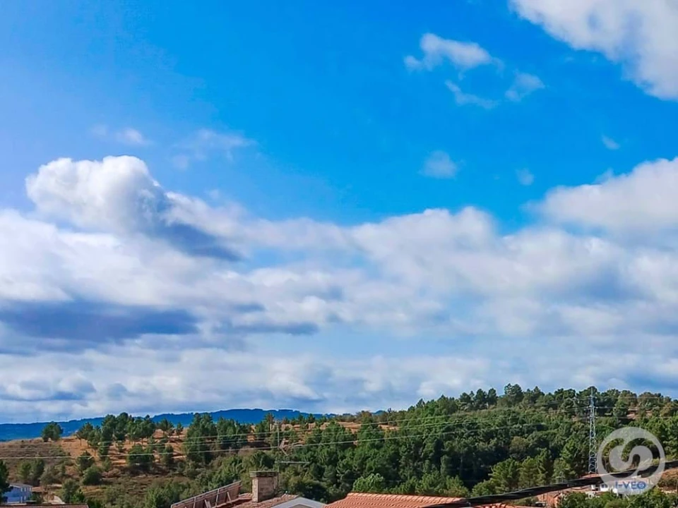 Moradia T4 para Venda em Vale de Anta Foto 28