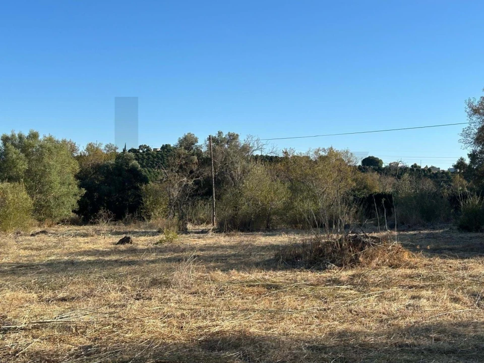 Terreno para Venda em Silves Foto 17