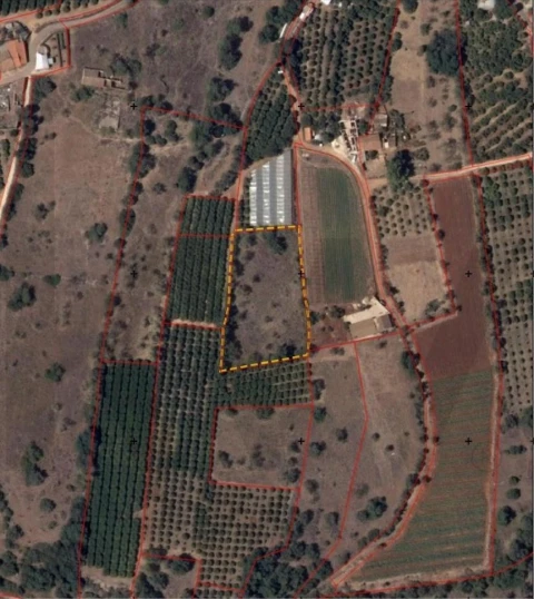 Terreno para Venda em Silves