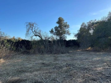 Terreno para Venda em Silves
