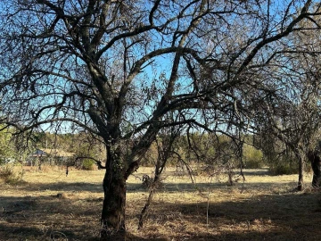 Terreno para Venda em Silves