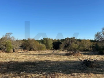 Terreno para Venda em Silves