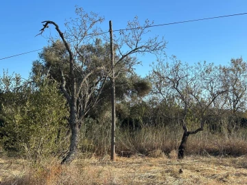 Terreno para Venda em Silves