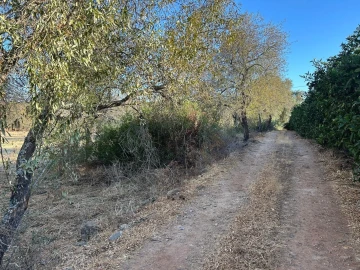Terreno para Venda em Silves