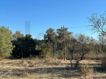Terreno para Venda em Silves