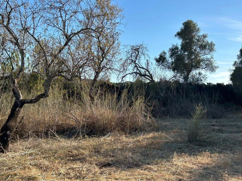 Terreno para Venda em Silves Foto 11