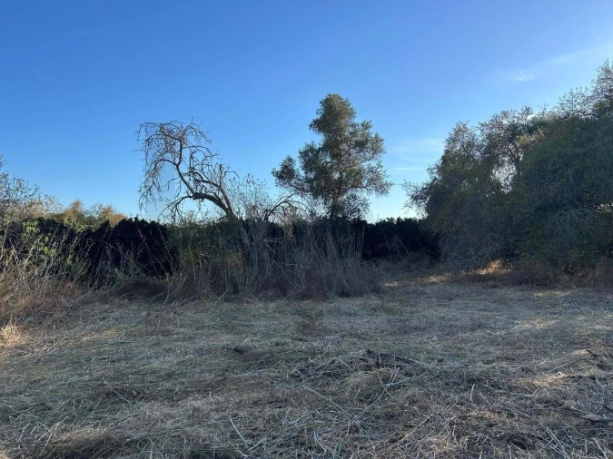 Terreno para Venda em Silves Foto 9