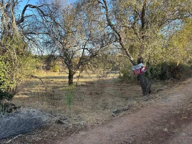 Terreno para Venda em Silves Foto 3