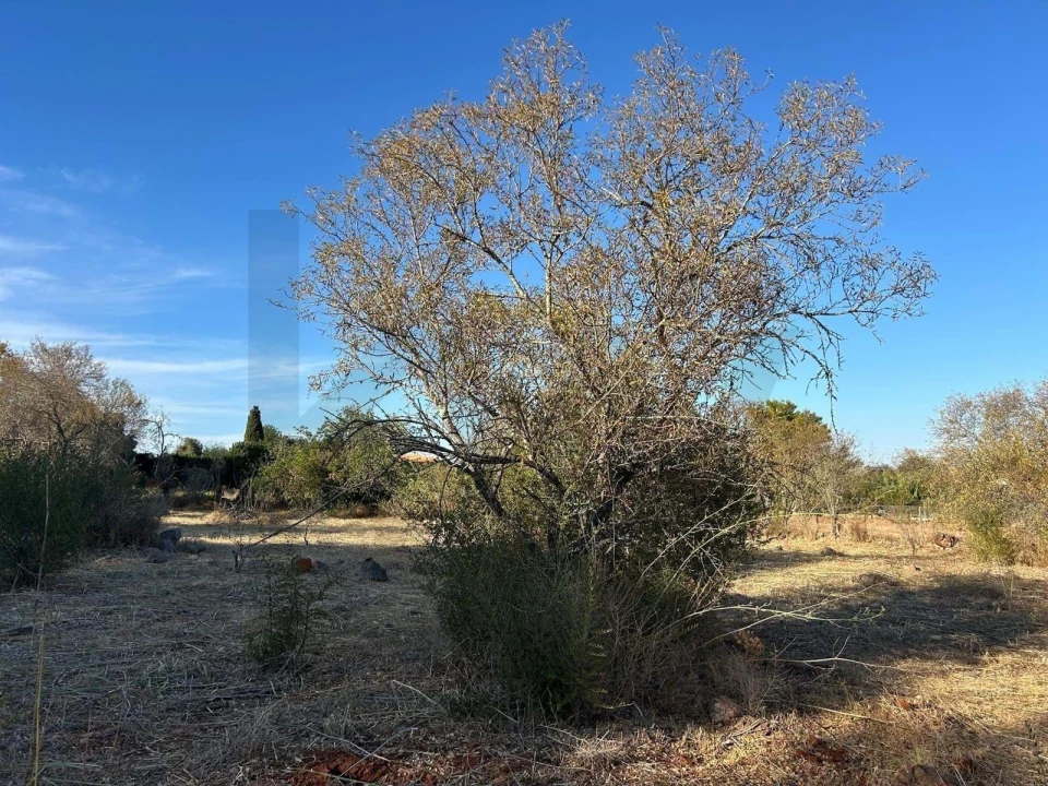 Terreno para Venda em Silves Foto 8