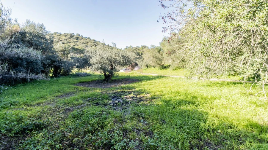Terreno Agricola ou Rústico para Venda em Alcoutim e Pereiro Foto 1