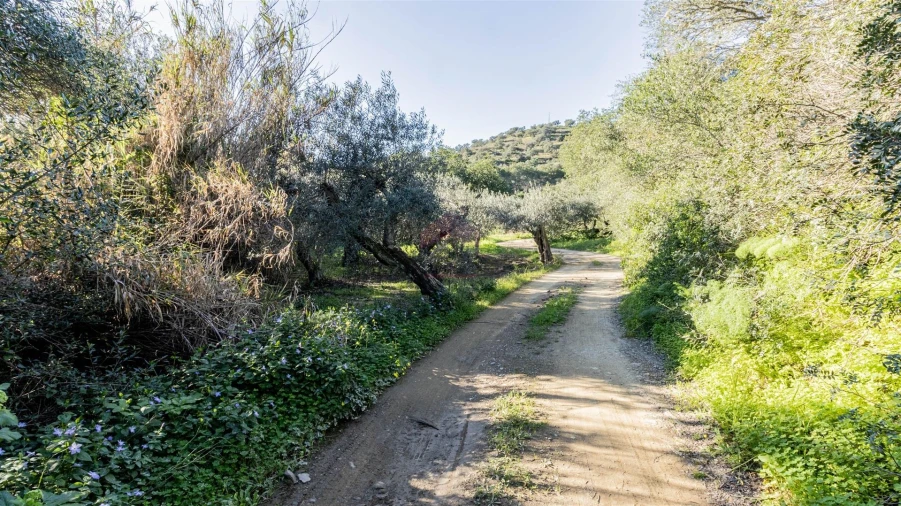 Terreno Agricola ou Rústico para Venda em Alcoutim e Pereiro Foto 3