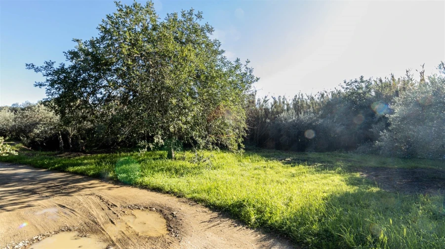 Terreno Agricola ou Rústico para Venda em Alcoutim e Pereiro Foto 5