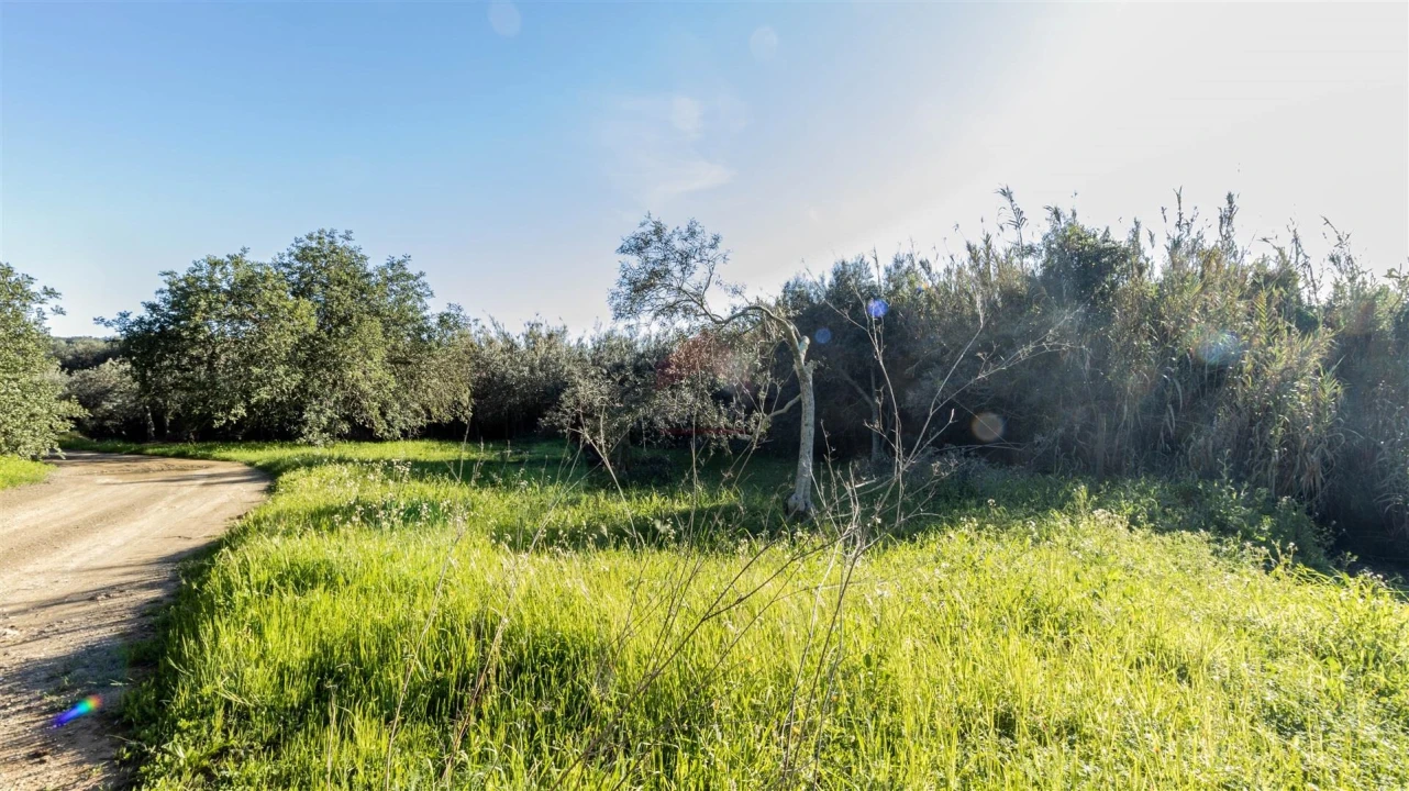 Terreno Agricola ou Rústico para Venda em Alcoutim e Pereiro Foto 6