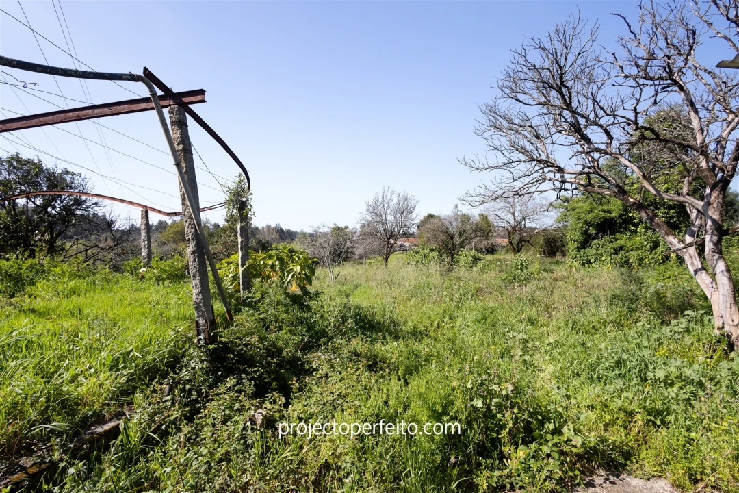 Terreno para Venda em Grijó e Sermonde Foto 2