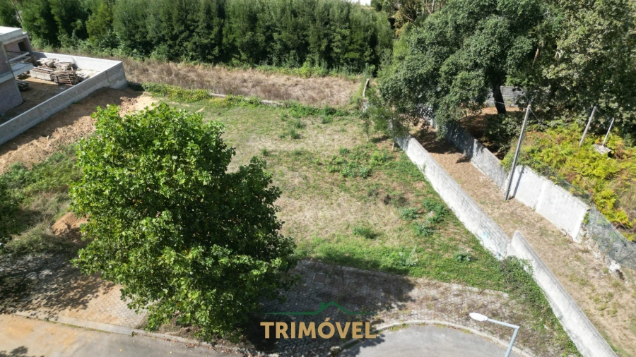 Terreno para Venda em Vila de Cucujães Foto 2