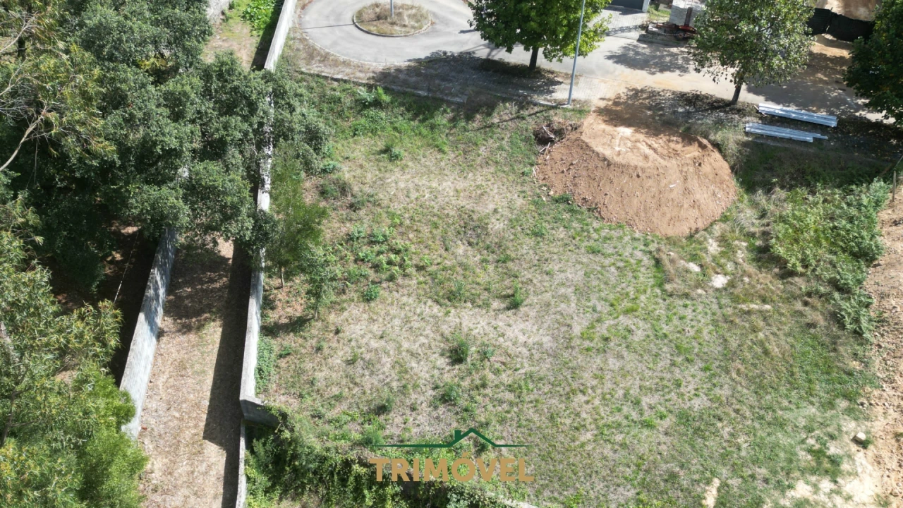 Terreno para Venda em Vila de Cucujães Foto 4