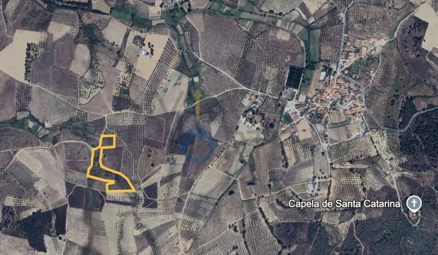Terreno Agricola ou Rústico para Venda em Barcel, Marmelos e Valverde da Gestosa Foto 2