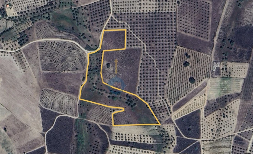 Terreno Agricola ou Rústico para Venda em Barcel, Marmelos e Valverde da Gestosa