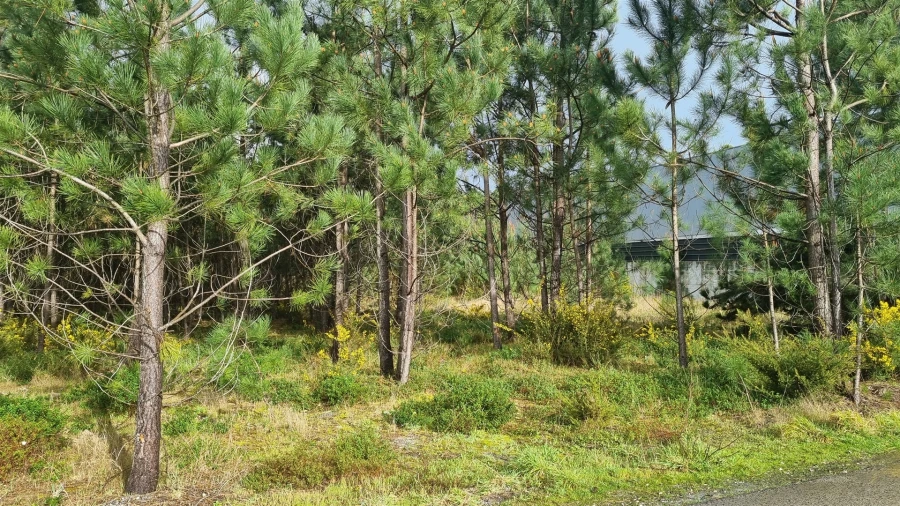 Terreno para Venda em Marinha Grande Foto 11