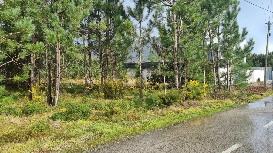 Terreno para Venda em Marinha Grande Foto 12