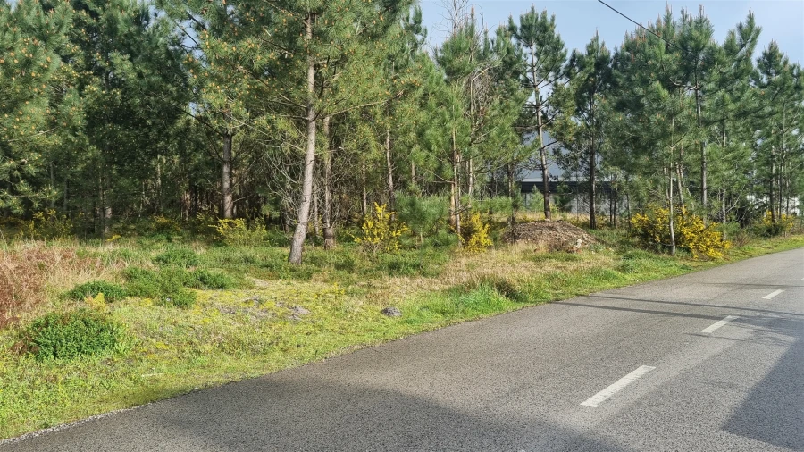 Terreno para Venda em Marinha Grande Foto 21