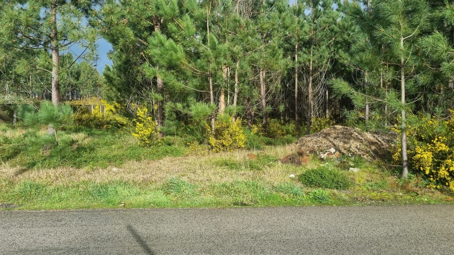 Terreno para Venda em Marinha Grande Foto 14