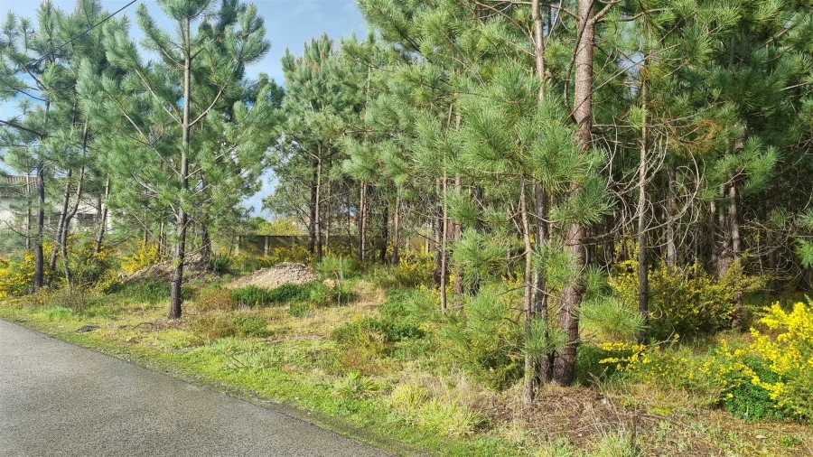 Terreno para Venda em Marinha Grande Foto 8