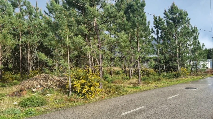 Terreno para Venda em Marinha Grande Foto 16