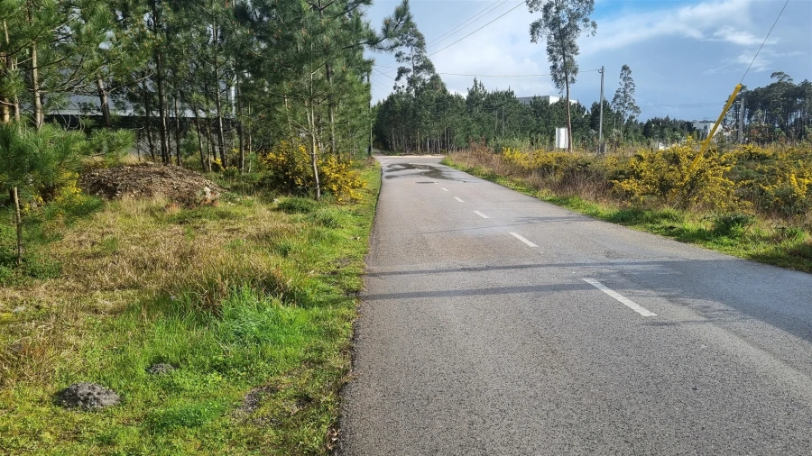 Terreno para Venda em Marinha Grande Foto 24