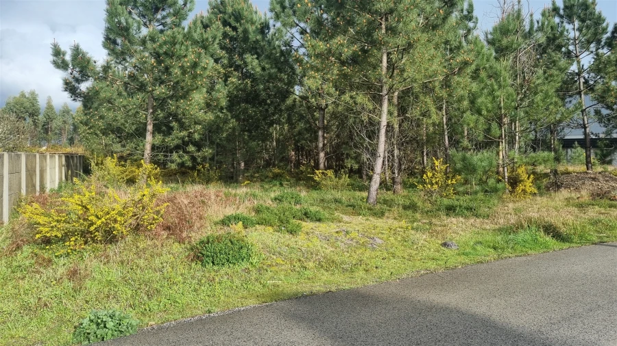 Terreno para Venda em Marinha Grande Foto 19