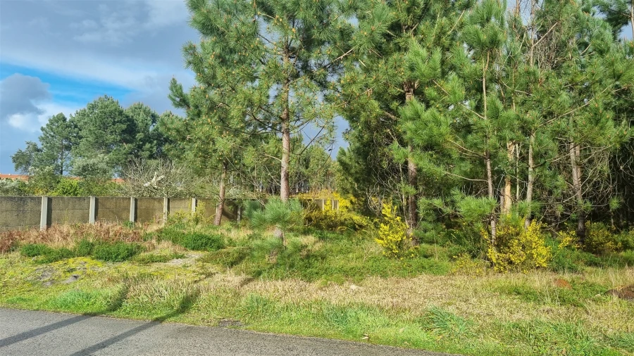 Terreno para Venda em Marinha Grande Foto 17