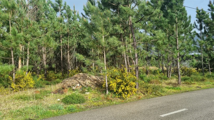 Terreno para Venda em Marinha Grande Foto 15