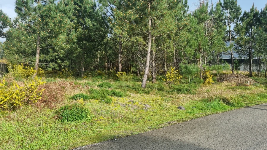 Terreno para Venda em Marinha Grande Foto 22