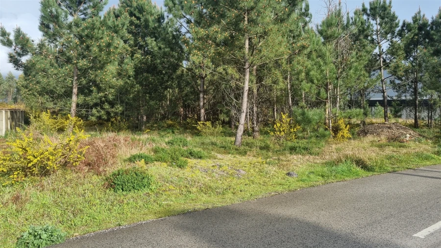 Terreno para Venda em Marinha Grande Foto 20