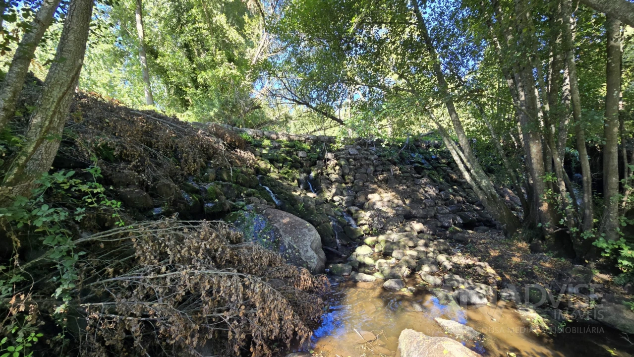 Quinta T3 para Venda em Fragosela Foto 3