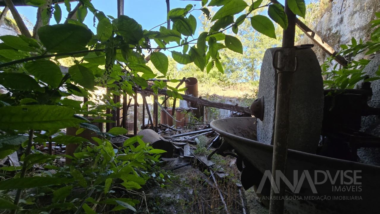 Quinta T3 para Venda em Fragosela Foto 21