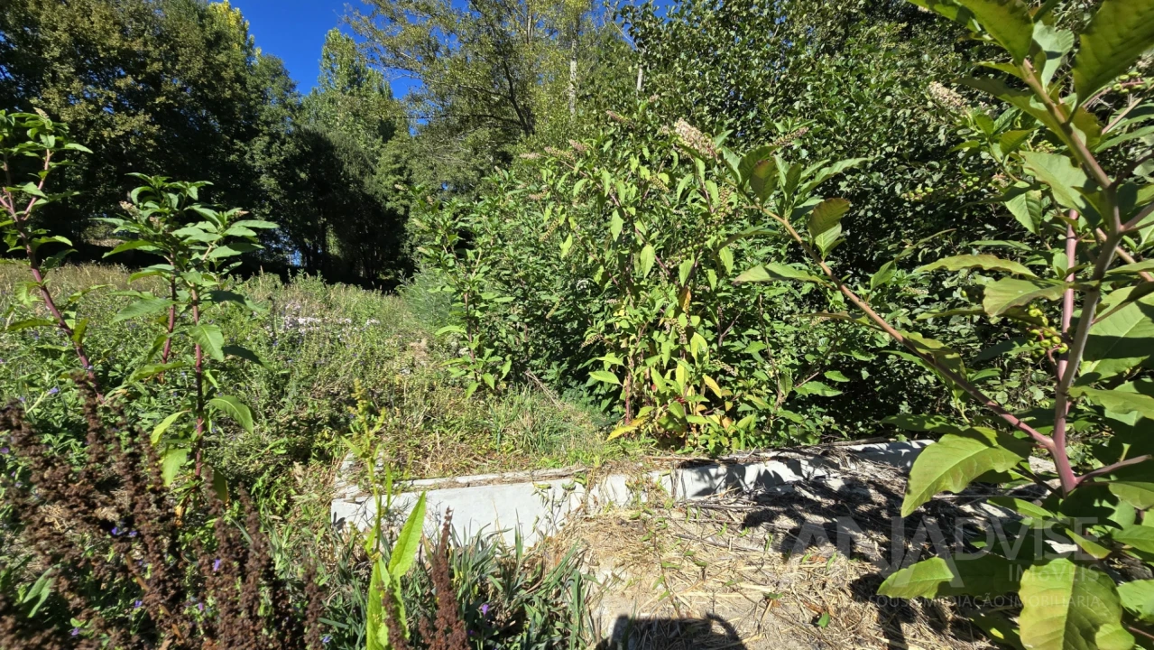 Quinta T3 para Venda em Fragosela Foto 26