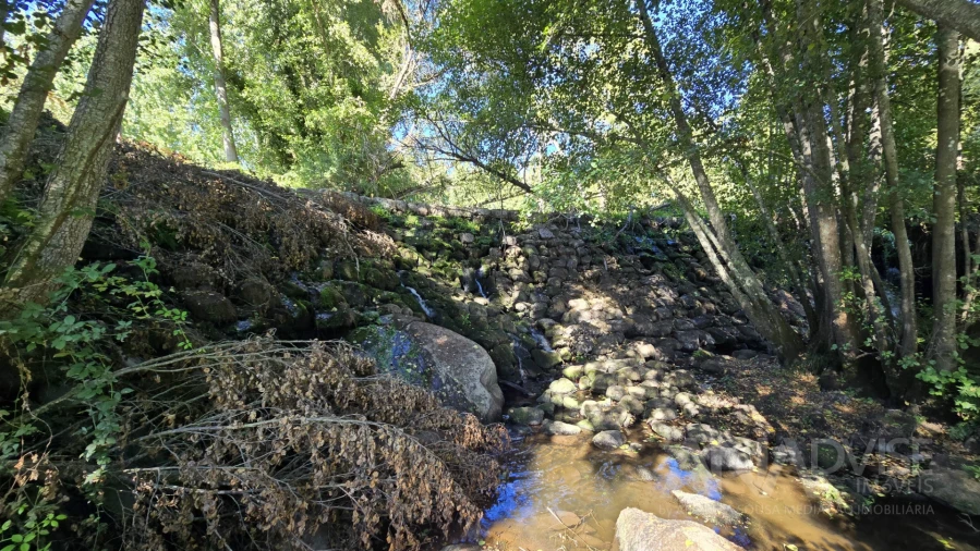 Quinta T3 para Venda em Fragosela Foto 3