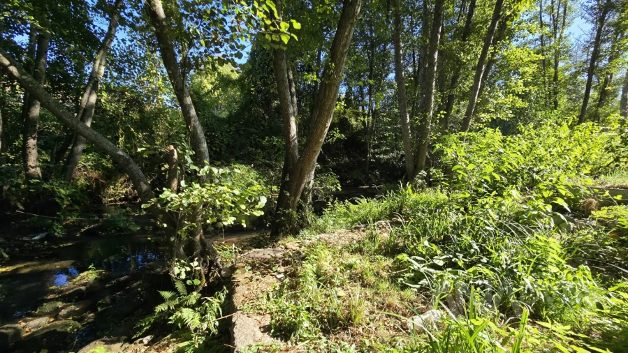 Quinta T3 para Venda em Fragosela Foto 33